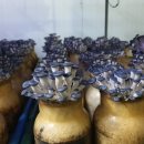 천만농장2 이미지