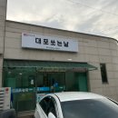 대포쏘는날 이미지