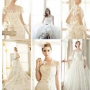 아크라컴퍼니 이미지