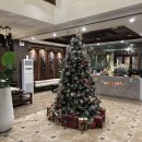 시민카랜드 | 다낭 바나힐 투어 예약 이동 케이블카 관광했던 후기