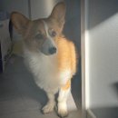 인선약국 | | 25.12 | 연말에는 사랑하는 사람들과