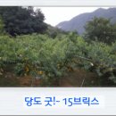 굿브릭스