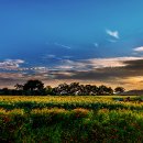 연천 호로고루 이미지