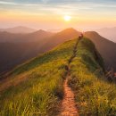 생명에 대한 나의 이미지