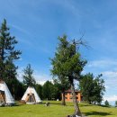 화목기사식당 | 몽골 홉스골 호수 숙소 추천 토일럭트(Toilogt Tourist Camp) 후기 게르 숙박 정보