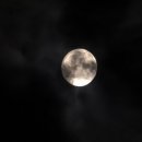 포시즌캠핑장 이미지