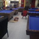 다모아당구장 이미지