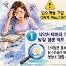개인화물73 | 아침 식단 추천 달걀 3개로 감량 성공 뒤에 숨은 집중력 저하 원인과 올바른 탄수화물 섭취법