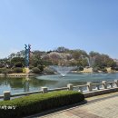 카이스트 이미지