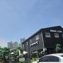 하이애니멀샵 | 내돈내산: 화성 하이애니멀 방문후기 아이랑가볼만한곳