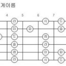 지판 계이름표 이미지