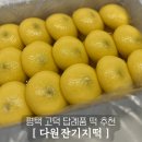 다원결혼정보 이미지