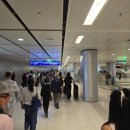 1062 | 인디고항공 6E1062 BKK-MAA 이코노미 탑승기