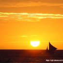 파파상클럽 이미지