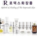 로덱스코리아 이미지