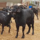 우람농장 이미지