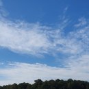 양지리 농장 이미지