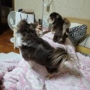 그랜드캐슬PC방 이미지