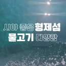 형제해안로 | 제주도 호핑투어 ,제주해양레저사계를 통해 형제섬에 들어가 프리다이빙하기.