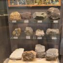 한국지질자원연구원 지질박물관 | 대전 지질박물관