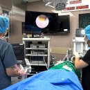 VIP동물의료센터 동대문점 이미지