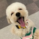 바우라움수원캠퍼스