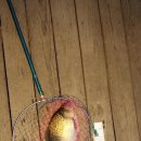 유포리낚시터 이미지