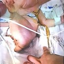 일신조산원 이미지