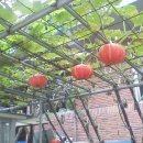 법성주유소 이미지