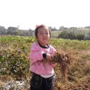 세린어린이집 이미지