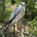 부산조선해양기자재 미음공동1식당 | 2025부산워라밸주간, 부산시네마팝업체험형콘텐츠관광, 간식로드in)부산개최, 부산시-국민의힘부산시당...