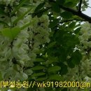 부성2농장 이미지