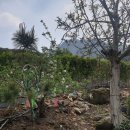 우일농장 이미지