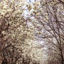 칠산마을회관 이미지