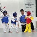 용인대 아이스타 태권도장 이미지