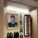 필프로