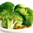 애견식단 이미지