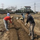 공자의 식탁, 풍석의 밥상 이미지