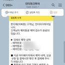[🇪🇬 Ep.1] 이집트 유학 준비과정 (비자/집/보험/한국외대 7+1, 자비유학, 교환학생…)