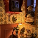 동남빌딩 | [후기/강추] 동남지구술집 여기 그냥 무조건 저장하세요! 청주 찐 데이트맛집 공감육회 미쳤다