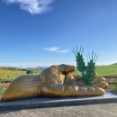 서나라농장 이미지