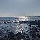 대정공인중개사사무소 이미지