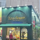 꽃을주는사람 | [대구/중구] 제우스플라워 동성로점｜예쁜 꽃다발 포장해 주는 가성비 꽃집 후기🌷꽃 오래 보관하는 법