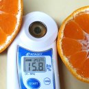 브릭스 제주 이미지