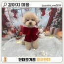 멍균관대 이미지