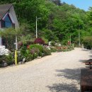 흥정민박 이미지