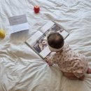 담양스테이 이미지