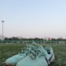 강서개화축구장 화장실 | 강서개화축구장 잔디,주차 후기 (2년만의 재방문!)