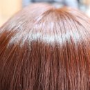 헤어리치맘 이미지
