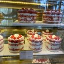 강남(205) 이미지